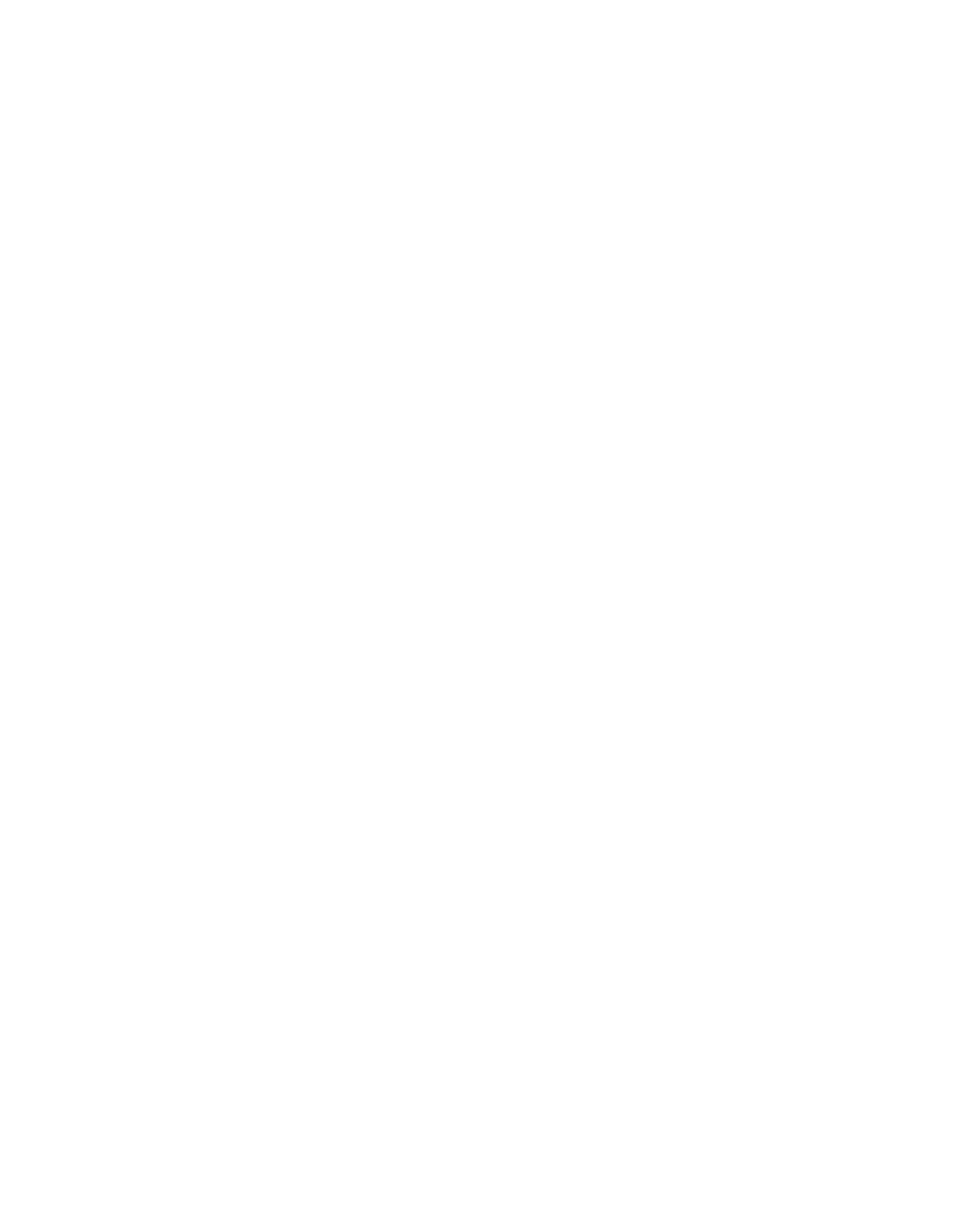 Meet The Rookies